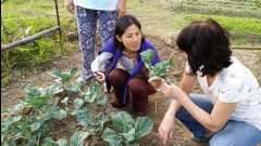 20131124 Organic Farm34